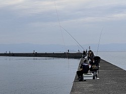 釣り場の風景　垂水新港右堤防